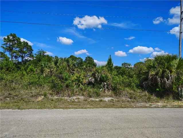 Vacant parcel featuring mature trees, diverse foliage, and a paved road frontage