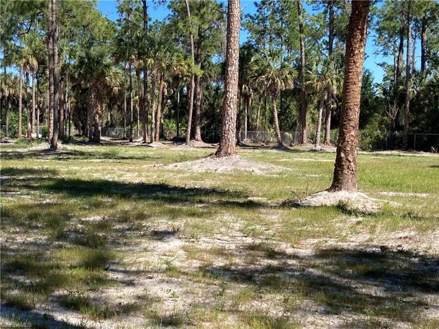 4283 12th AVE SE, NAPLES FL 34117