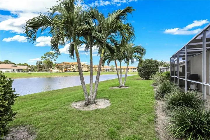 Palm trees and lake views anyone?...