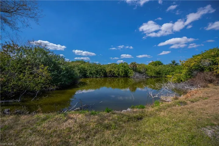 Water view featuring a forest