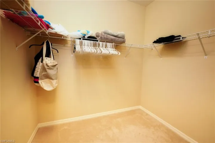 Spacious closet featuring carpet floors