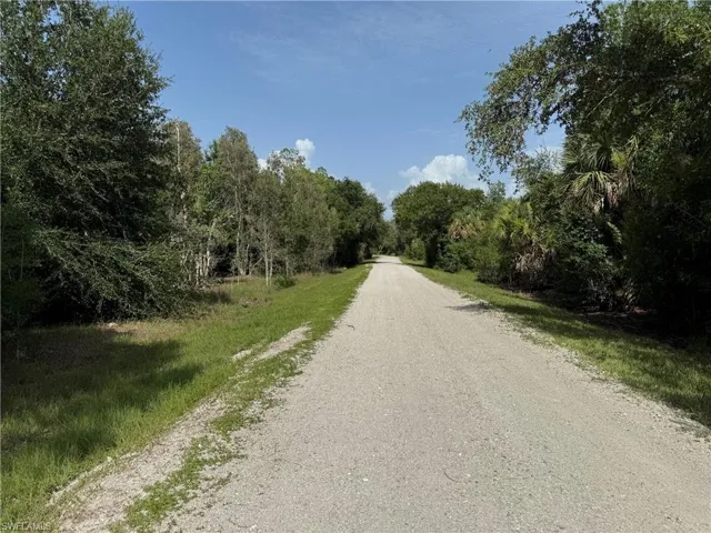 Elongated gravel pathway bordered by natural vegetation and mature trees