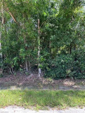 View of undeveloped land