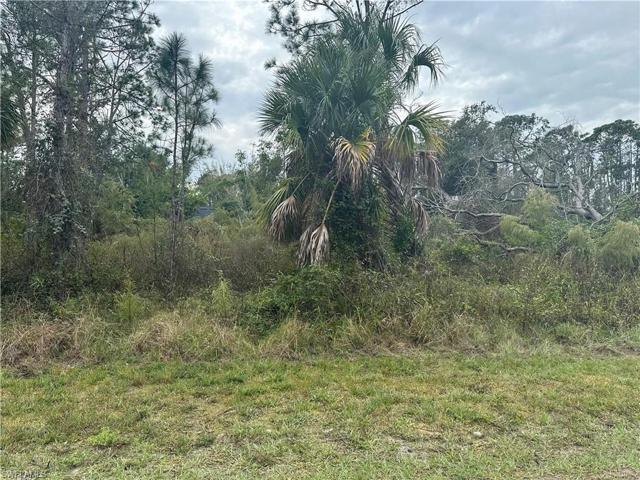 Kumquat  ST, North Port, FL 34291