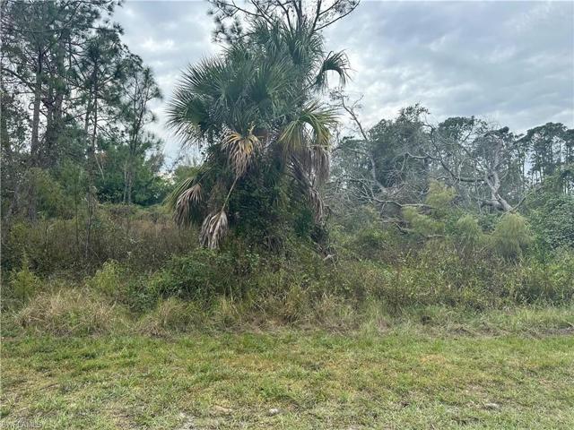 Kumquat  ST, North Port, FL 34291