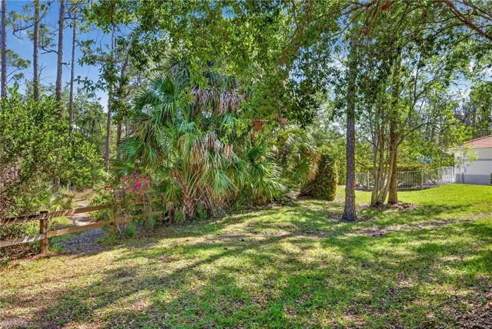 Unofficial walk path into North Collier Regional Park