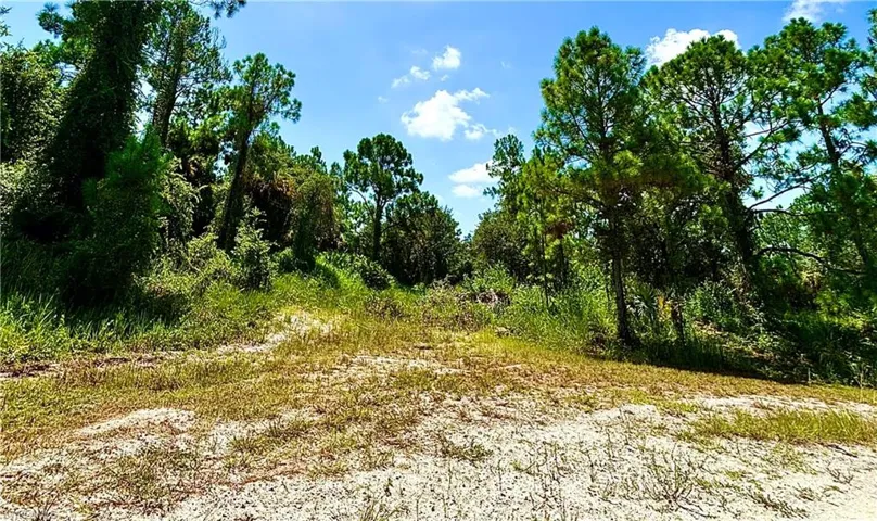 2600 Fitch Ave, Alva, Florida 33920