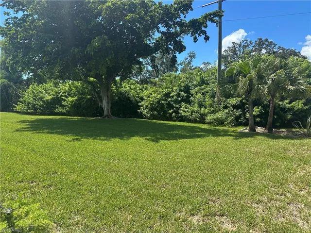 View of grassy yard
