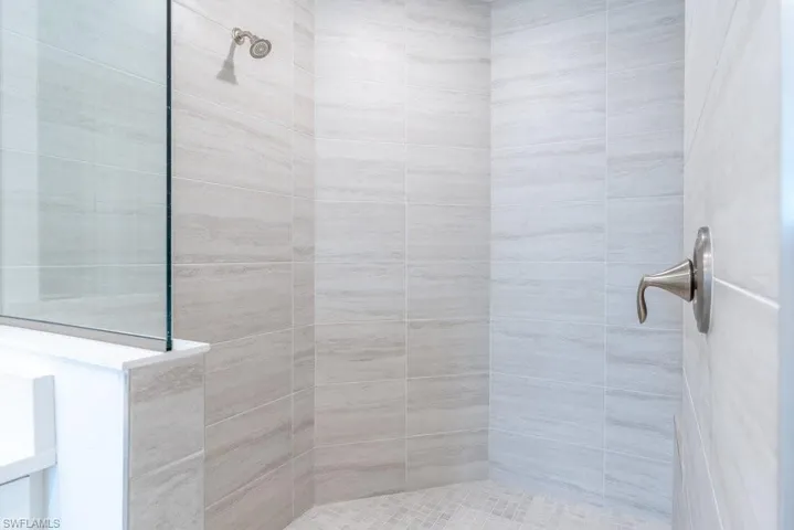 Primary Shower