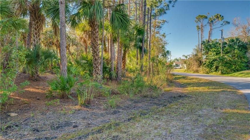 It's easy to see the cleared walking paths on this 4 lot, .98 acre parcel.