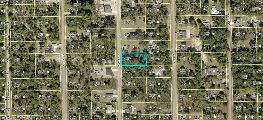 1010 Moore Ave, Lehigh Acres, Florida 33972