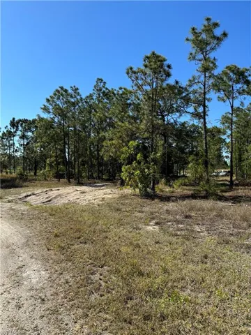 749 Delridge Ave S, Lehigh Acres Fl 33974