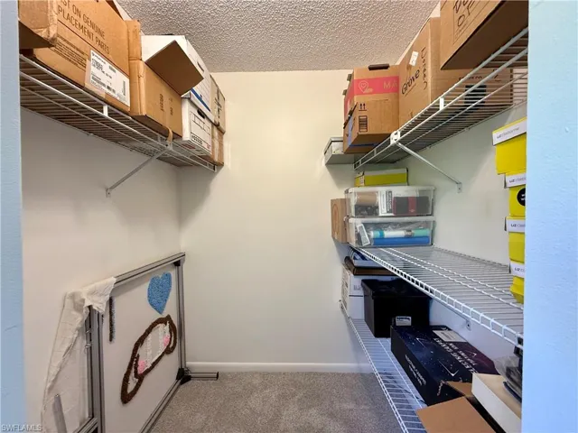 Guest Bedroom Walk in Closet