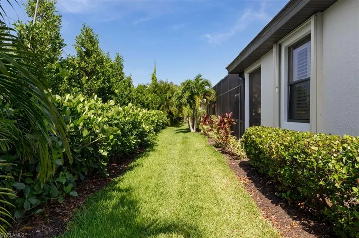 back yard with privacy hedge