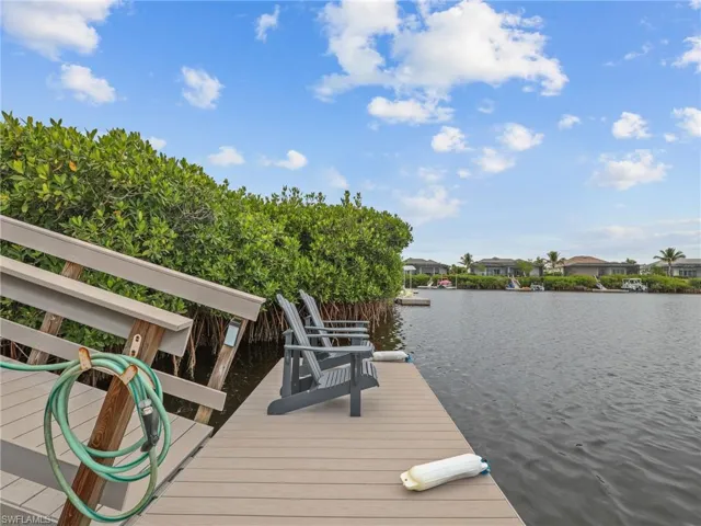 Watch the manatees from your dock