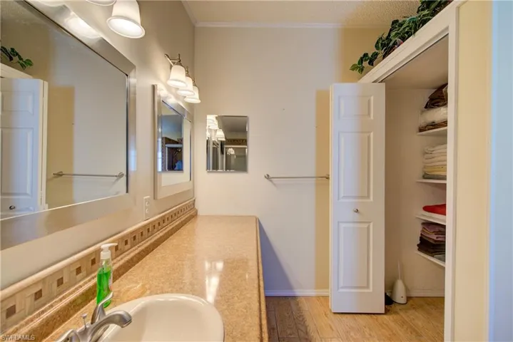 Bathroom featuring light wood finished floors, vanity, and ornamental molding