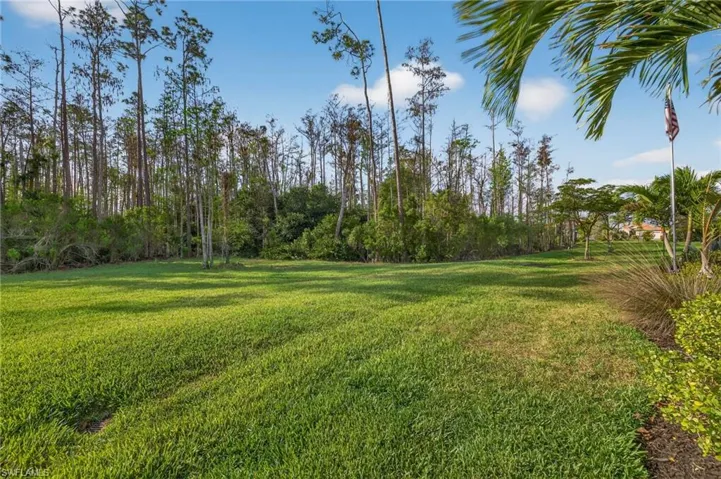 View of grassy yard
