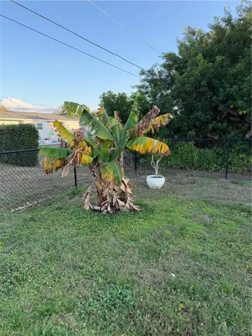 View of fenced backyard