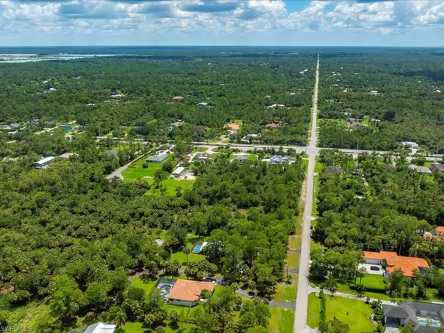 Aerial view of residential area featuring a forest