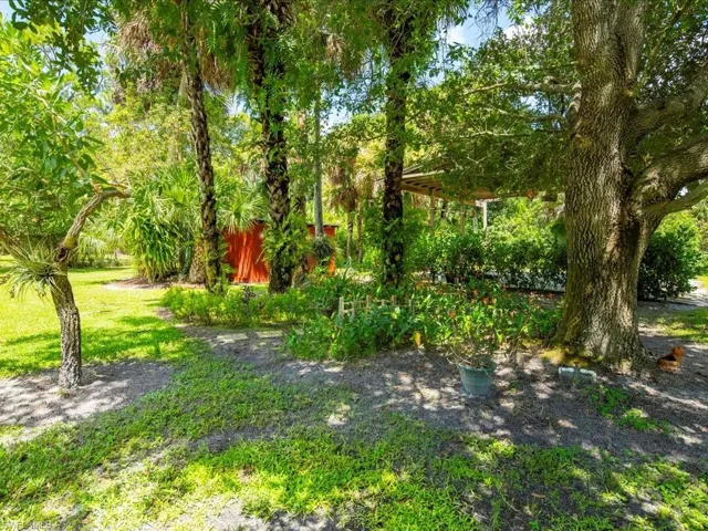 View of green lawn