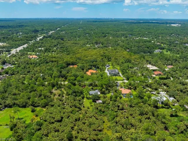 Bird's eye view of a forest