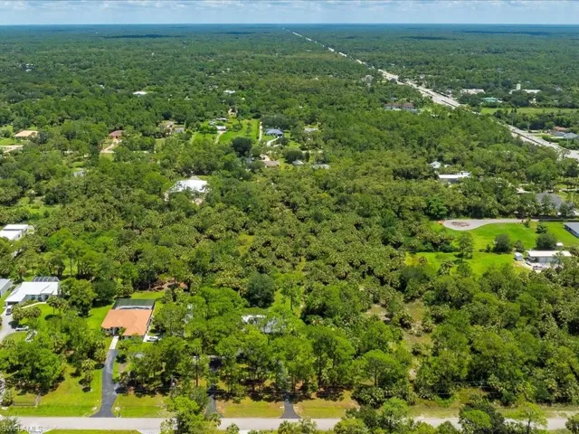Drone / aerial view of a forest