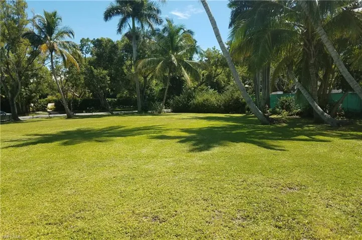 View of grassy yard