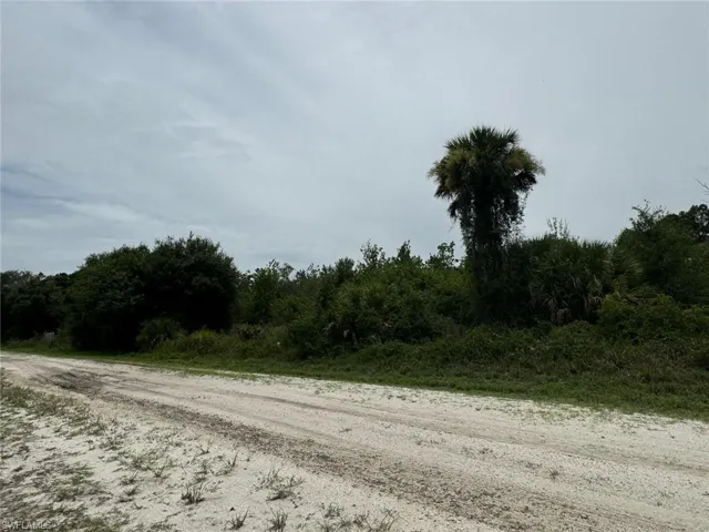 View of road featuring a view of trees