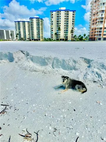 7360 Estero Blvd # 802, Fort Myers Beach, Florida 33931