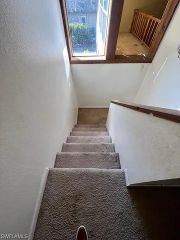 Staircase with carpet floors
