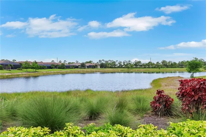 19657 Estero Pointe Ln, Fort Myers, Florida 33908