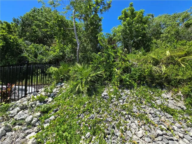 Southeast Back Corner of Lot!
