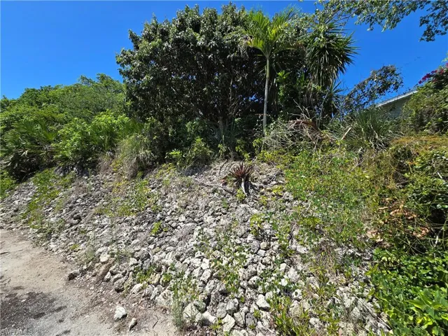 Back Yard Hill for Privacy!