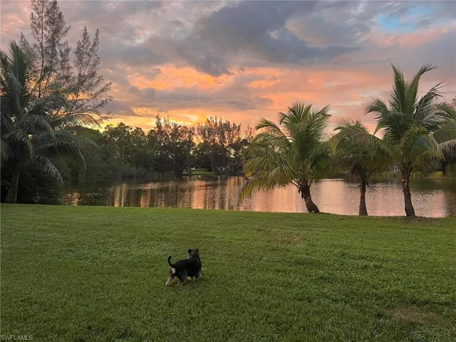 Yard at sunset (seller photo, late 2025)
