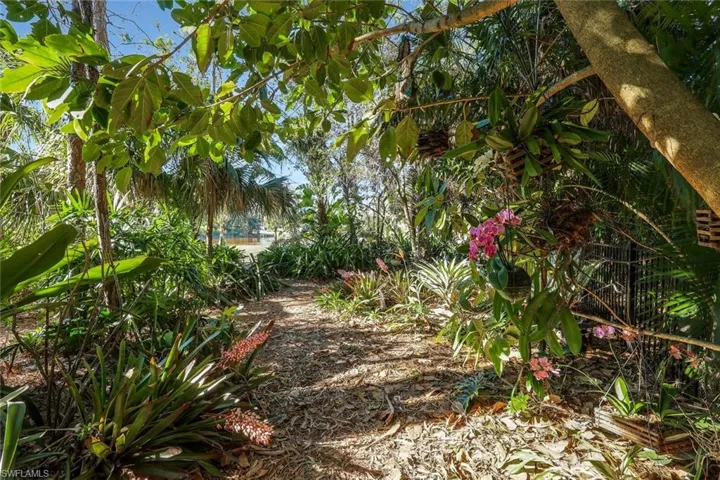 Under the "orchid tree" in forest garden.