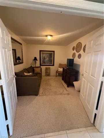 Den with carpet