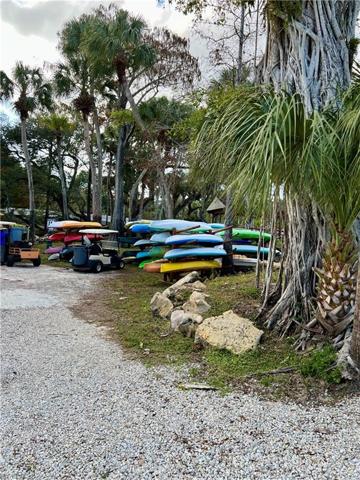 Canoe and Kayak storage