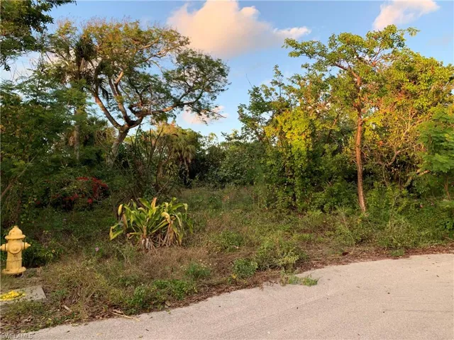 View of nature