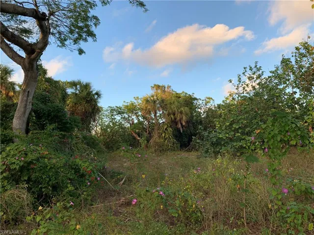 View of nature