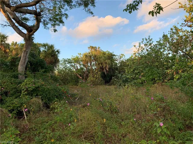 View of nature at dusk