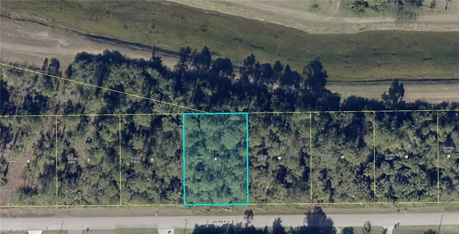 929 Asther ST E, LEHIGH ACRES FL 33974
