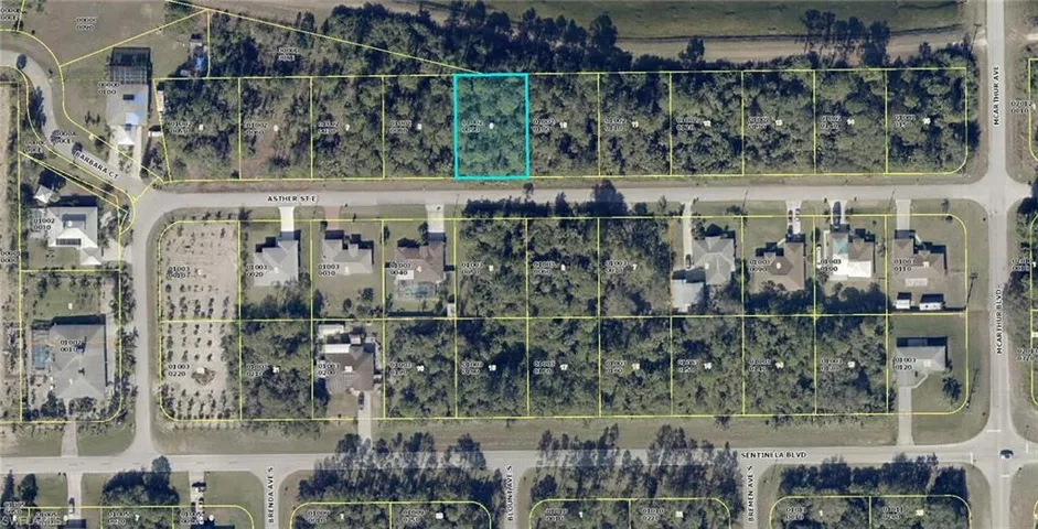 929 Asther ST E, LEHIGH ACRES FL 33974