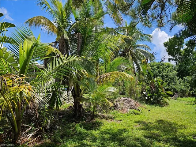 View of side yard