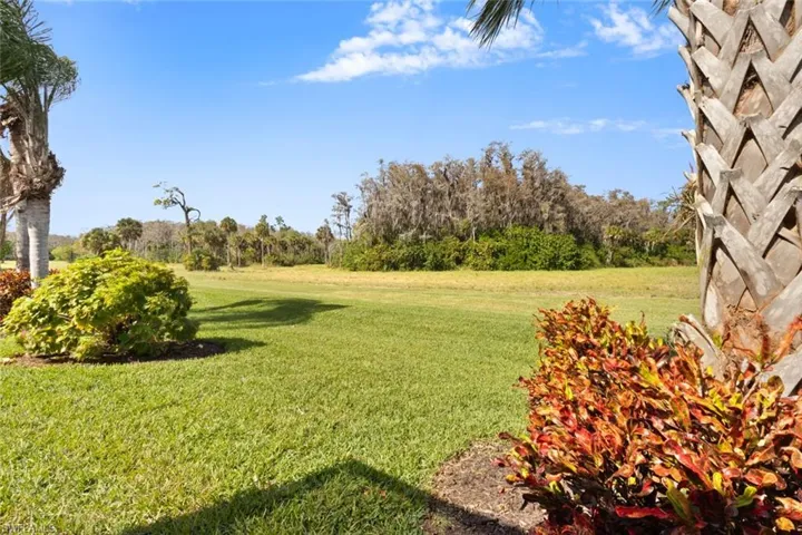 Large Backyard