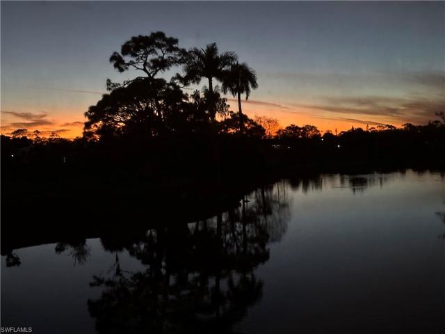 sunsetting over the water