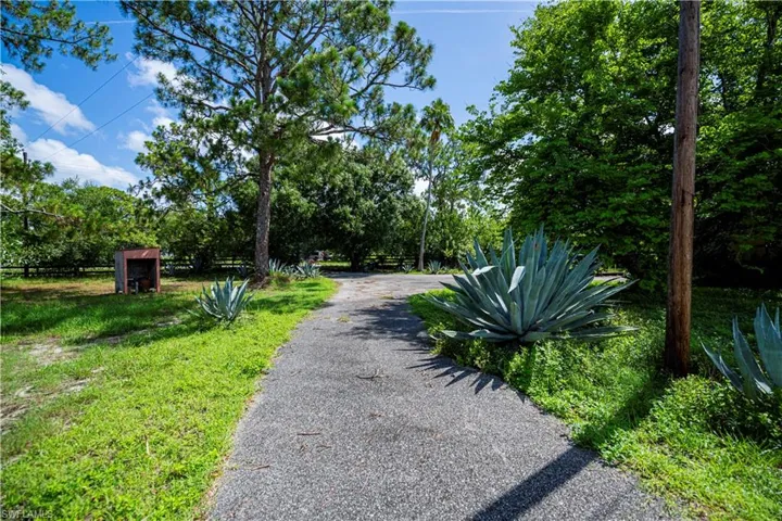 View of street with view of scattered trees