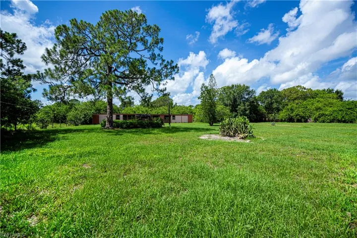 View of grassy yard