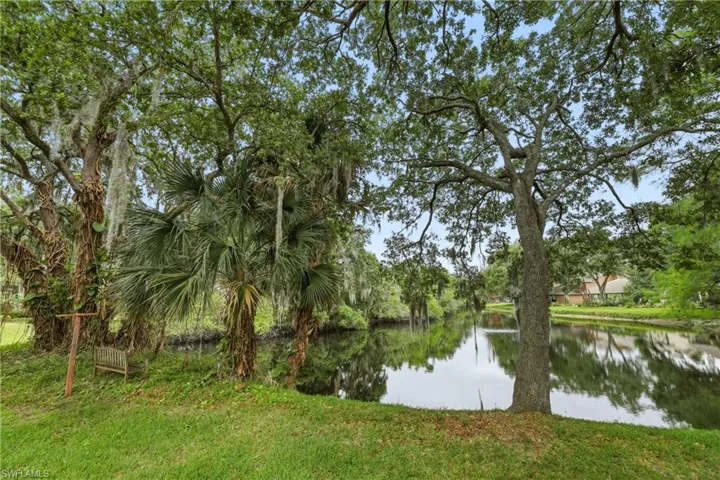 Landscaped backyard featuring mature trees and palm foliage bordering a tranquil waterway with a fountain feature