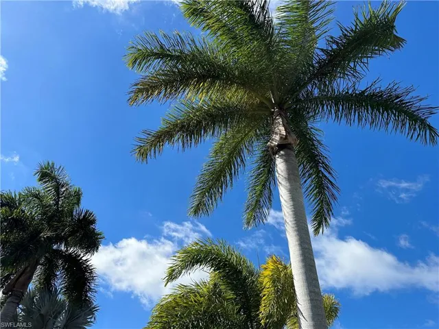 13559 Snook Cir, Naples Fl 34114