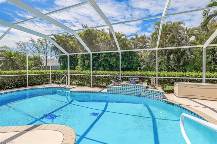 View of swimming pool and Areca palms privacy fence